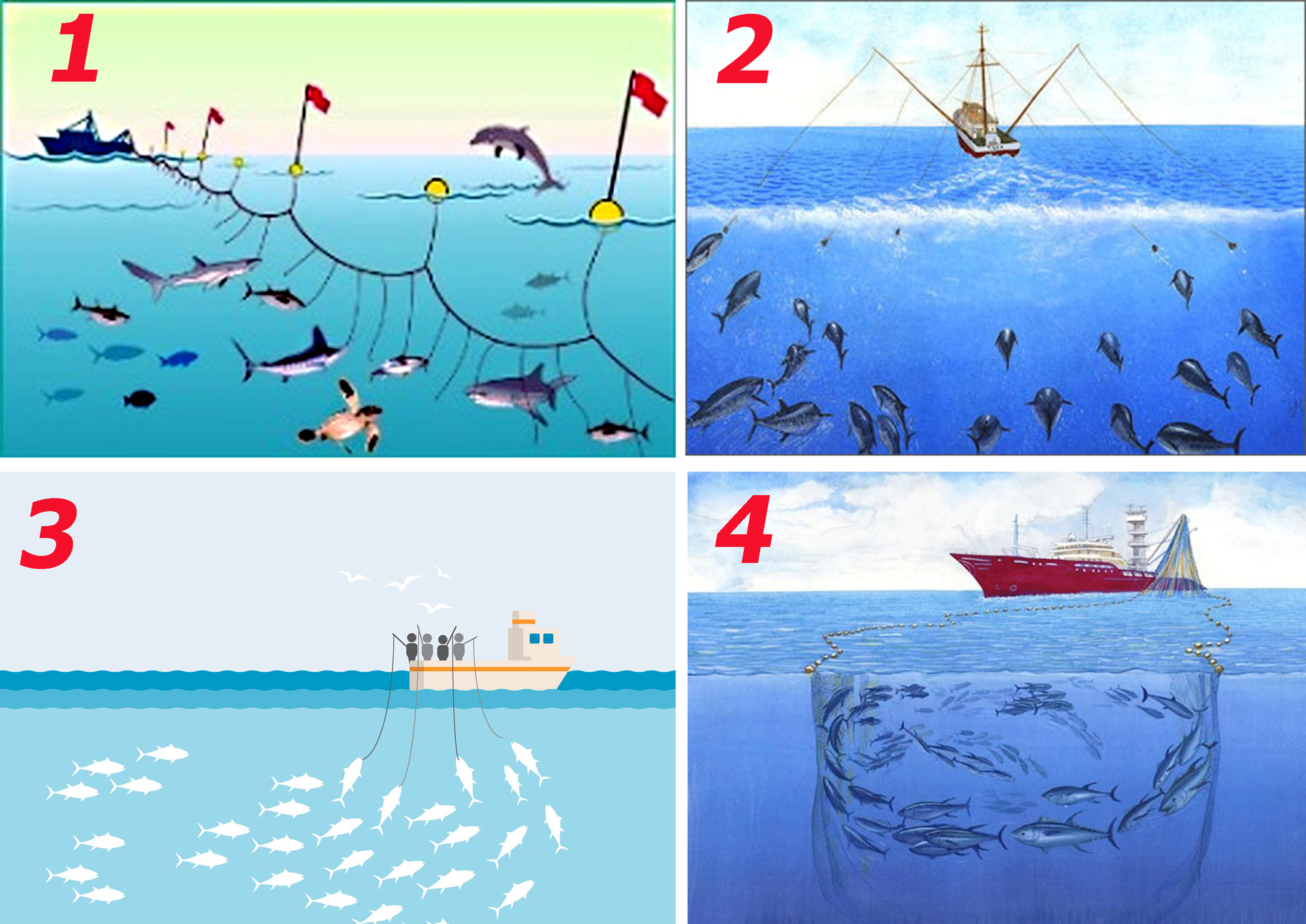 Tại sao ngư d&acirc;n c&oacute; thể c&acirc;u c&aacute; ngừ si&ecirc;u tốc m&agrave; kh&ocirc;ng tốn thời gian lắp mồi lẫn gỡ c&aacute;? - Ảnh 4.