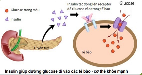 Cảnh báo mối liên quan giữa COVID-19 và bệnh tiểu đường - Ảnh 1.