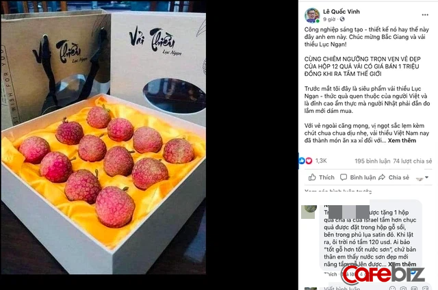 Siêu phẩm vải thiều Lục Ngạn Việt Nam: Đóng gói như tổ yến, 1 triệu đồng mới mua được 1 hộp 12 quả tại Nhật - Ảnh 1.