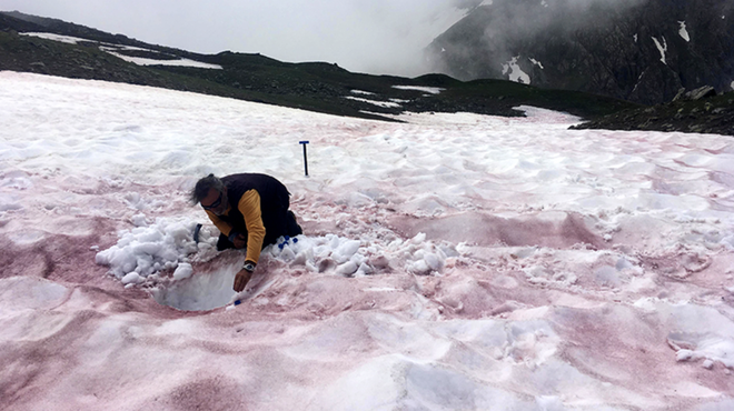 Chảy máu sông băng - hiện tượng đáng báo động đằng sau việc xuất hiện tuyết đỏ trên dãy Alps - Ảnh 1.