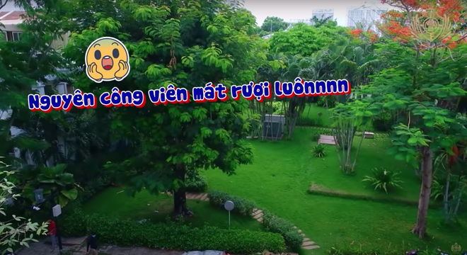 Đại gia Minh Nhựa khoe mua cả căn biệt thự ở Phú Mỹ Hưng chỉ vì khoái… cái cây trong nhà - Ảnh 3.