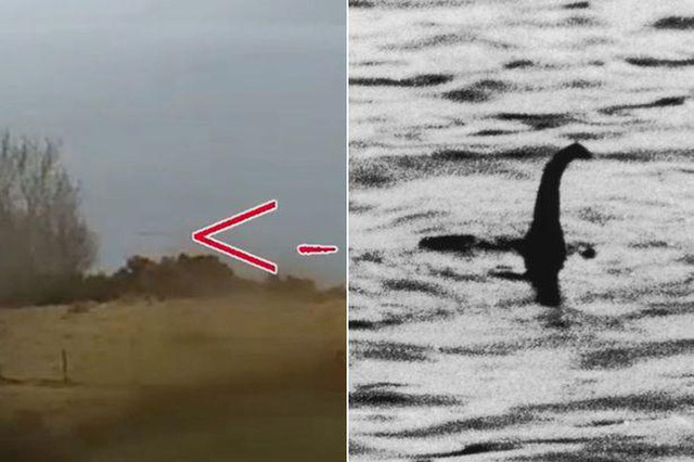 Quái vật hồ Loch Ness: Thực sự có thật hay là trò lừa bịp của loài người? - Ảnh 5.
