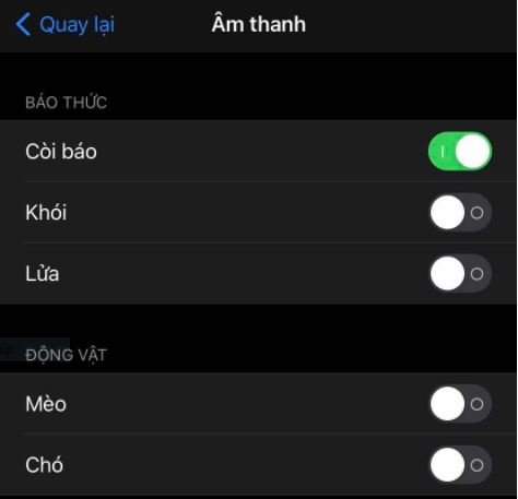 Cách bật tính năng phát hiện tiếng em bé khóc trên iPhone - Ảnh 2.