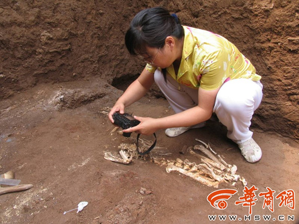 Tìm thấy giống loài chưa từng được biết đến trong lăng mộ bà nội Tần Thủy Hoàng: Hé lộ lý do tuyệt chủng! - Ảnh 1.