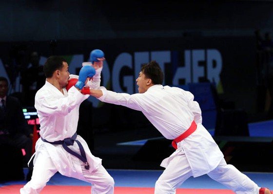 Karate Việt Nam lỡ hẹn với Olympic Tokyo 2020 - Ảnh 1.