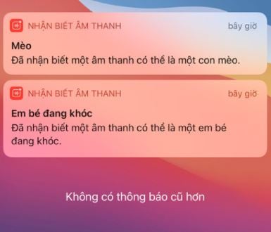 Cách bật tính năng phát hiện tiếng em bé khóc trên iPhone - Ảnh 3.