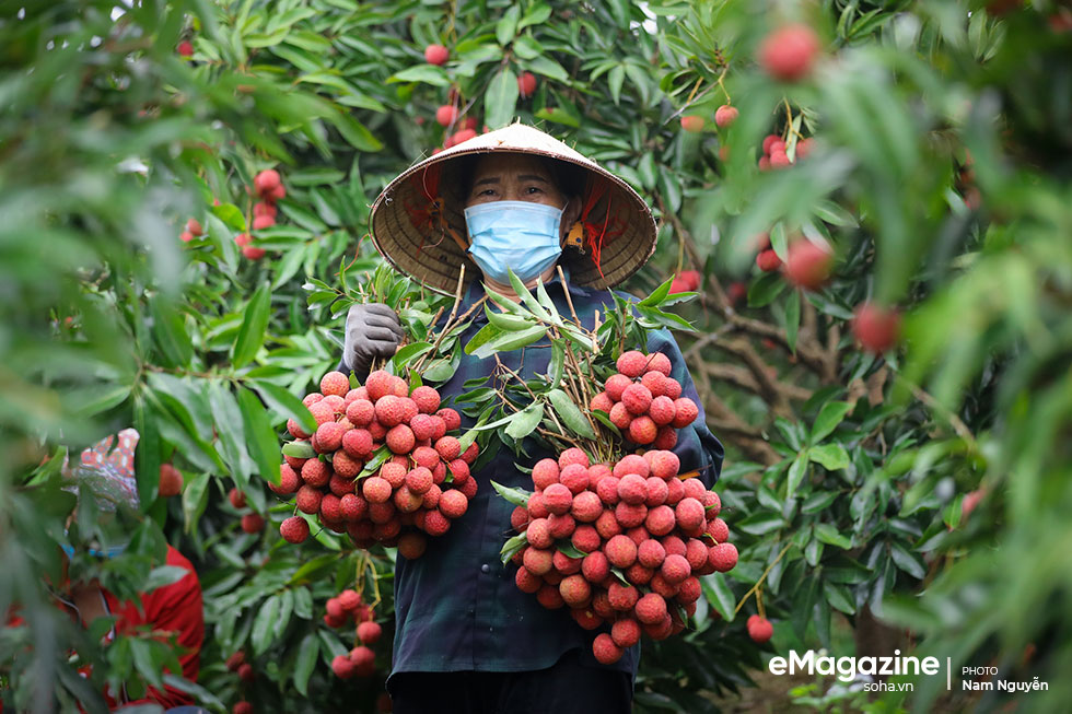 Bí thư Tỉnh ủy Bắc Giang: “Trận đánh úp rất nặng” và những cuộc gọi “kêu cứu” lúc nửa đêm - Ảnh 13.