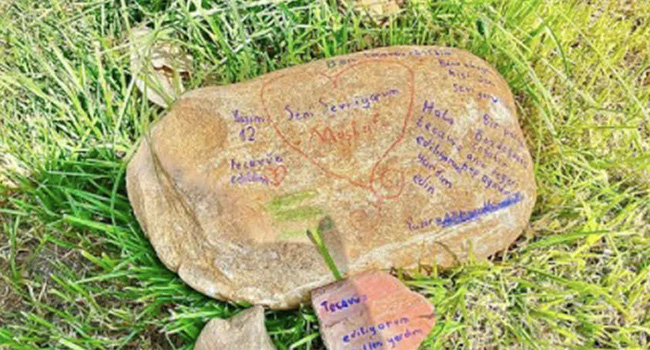 Hòn đá khắc chữ ở công viên vén màn tội ác kinh hoàng suốt 7 năm của gã hàng xóm đồi bại - Ảnh 1.