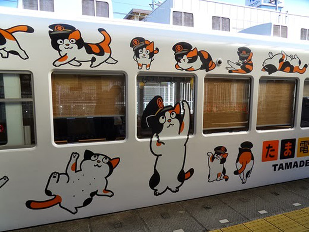 Chỉ nhờ một cô mèo hoang, công ty Nhật Bản lãi to 280 tỷ, thoát khỏi cảnh phá sản trong gang tấc - Ảnh 13.
