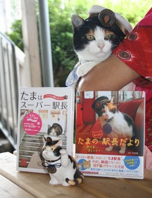 Chỉ nhờ một cô mèo hoang, công ty Nhật Bản lãi to 280 tỷ, thoát khỏi cảnh phá sản trong gang tấc - Ảnh 14.
