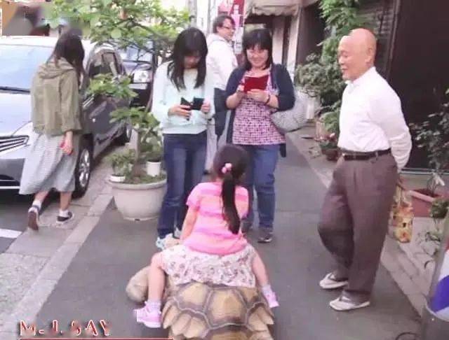 Ông lão người Nhật nuôi con rùa nặng 70 kg, quãng đường 5 phút đi mất 3 tiếng: Sống chậm lại, cuộc đời quả thực đáng yêu hơn bạn nghĩ - Ảnh 17.