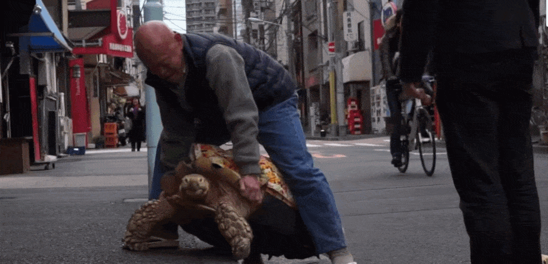 Ông lão người Nhật nuôi con rùa nặng 70 kg, quãng đường 5 phút đi mất 3 tiếng: Sống chậm lại, cuộc đời quả thực đáng yêu hơn bạn nghĩ - Ảnh 18.