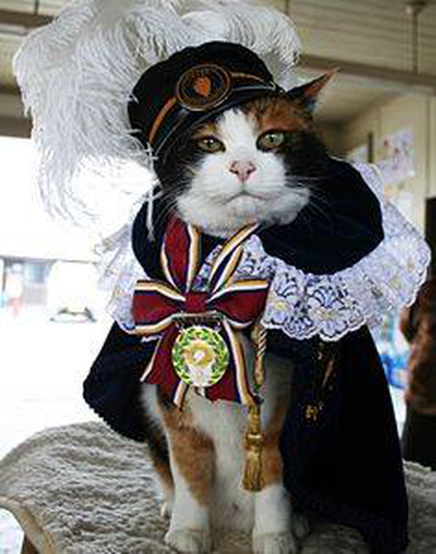 Chỉ nhờ một cô mèo hoang, công ty Nhật Bản lãi to 280 tỷ, thoát khỏi cảnh phá sản trong gang tấc - Ảnh 7.