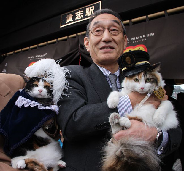 Chỉ nhờ một cô mèo hoang, công ty Nhật Bản lãi to 280 tỷ, thoát khỏi cảnh phá sản trong gang tấc - Ảnh 8.