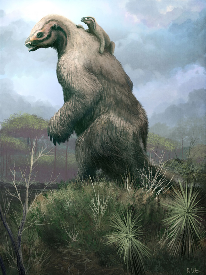 Glyptodon: Lâu đài di động ở Nam Mỹ - Ảnh 1.