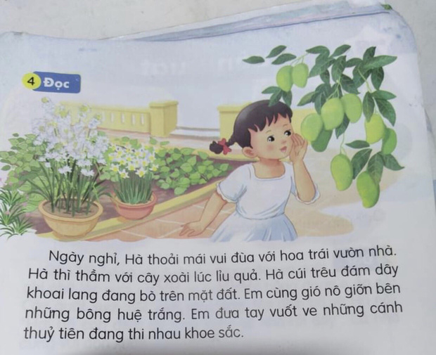 Bài tập Tiếng Việt lớp 1 xuất hiện từ ngữ khó dịch, đọc xong đến người lớn cũng câm lặng không làm được - Ảnh 1.