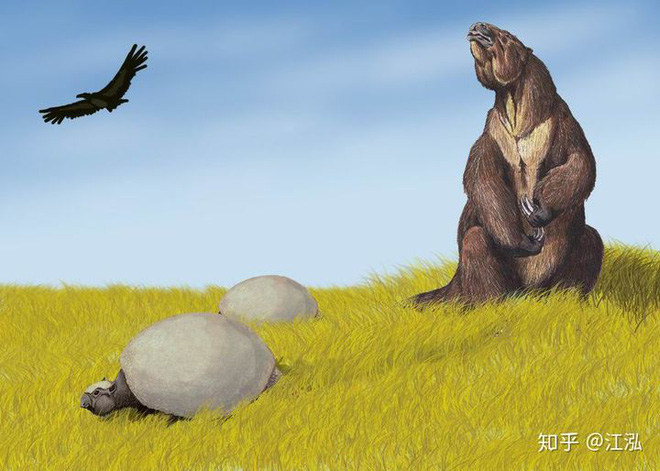 Glyptodon: Lâu đài di động ở Nam Mỹ - Ảnh 13.
