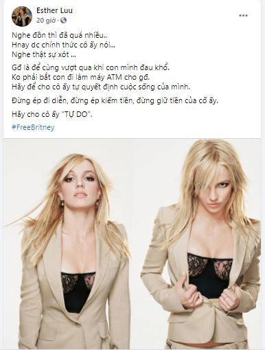 Sao Việt xót xa lên tiếng về chuyện của Britney Spear, đồng loạt chia sẻ #FreeBritney - Ảnh 2.