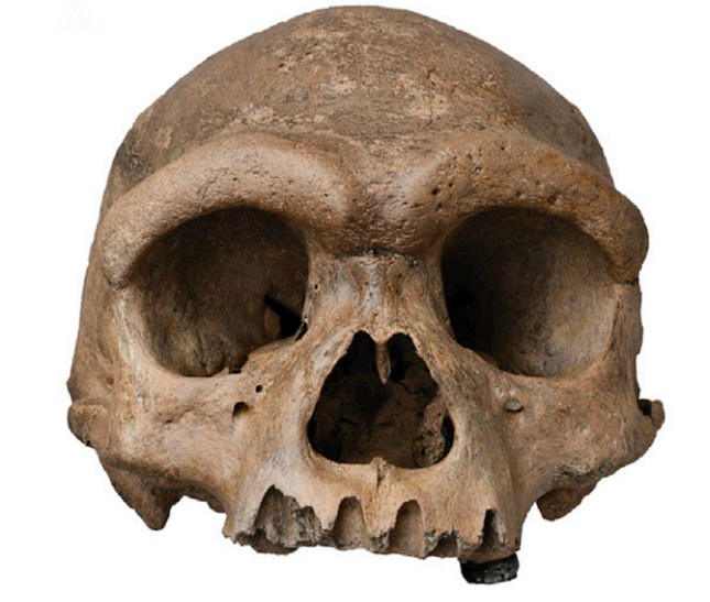 Bí ẩn hộp sọ cổ đại kỳ lạ phát hiện ở Trung Quốc được giải mã sau gần 100 năm - Ảnh 1.