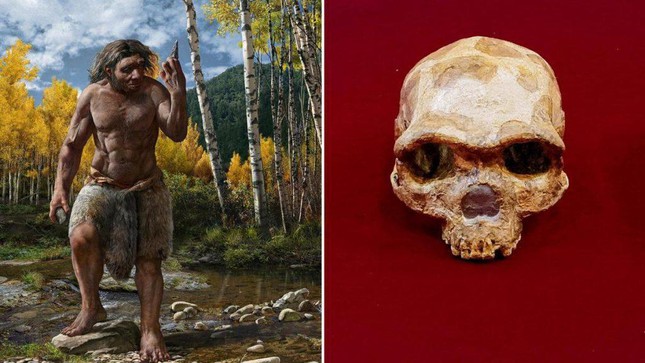 Bí ẩn hộp sọ cổ đại kỳ lạ phát hiện ở Trung Quốc được giải mã sau gần 100 năm - Ảnh 3.