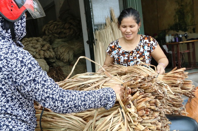 Bèo tây từ thức ăn cho gia súc “biến” thành hàng xuất ngoại đắt giá - Ảnh 8.