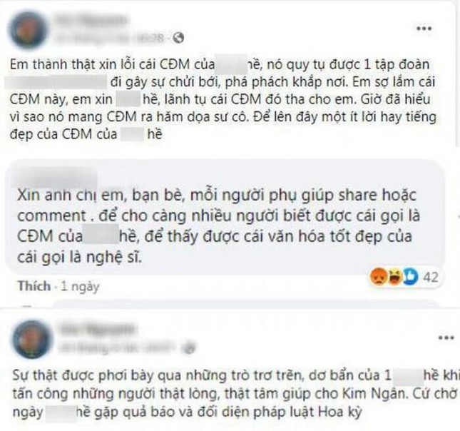 Thúy Nga dừng việc giúp đỡ ca sĩ Kim Ngân - Ảnh 3.