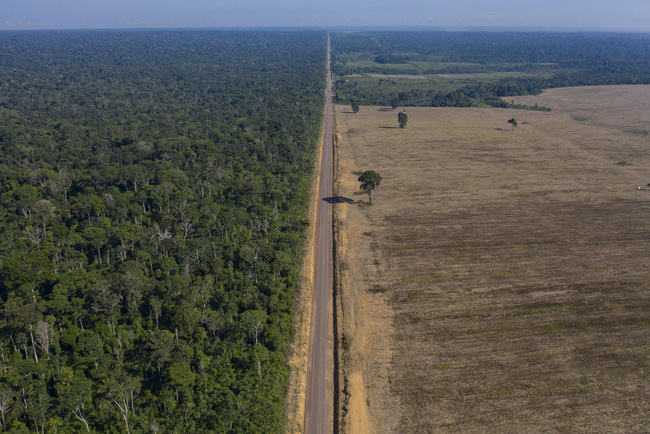 Kỷ lục 1.180 km² rừng Amazon tại Brazil bị phá hủy trong tháng 5 - Ảnh 1.