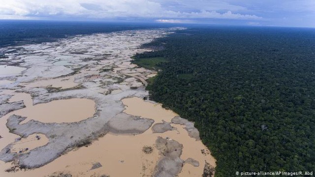 Kỷ lục 1.180 km² rừng Amazon tại Brazil bị phá hủy trong tháng 5 - Ảnh 4.