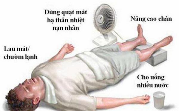 Sốc nhiệt do nắng nóng: Coi chừng đột tử - Ảnh 1.