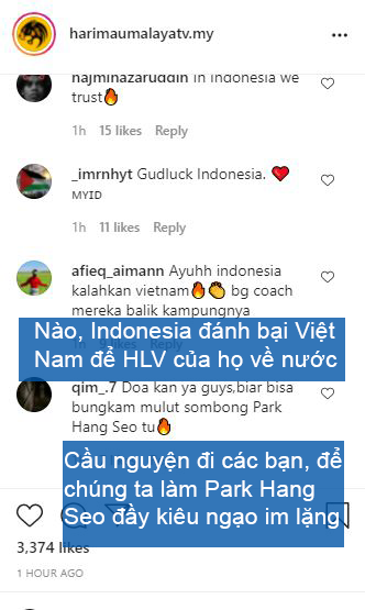 Nghe theo fake news, fan Malaysia cổ vũ Indonesia chiến thắng để thầy Park khăn gói về nước - Ảnh 3.