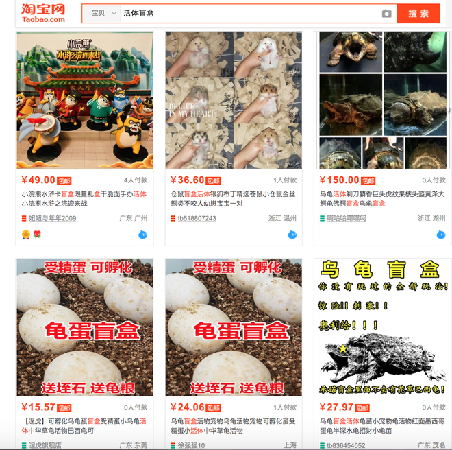 Hộp mù chuyển phát động vật: Góc khuất giao hàng kinh dị và tàn nhẫn đáng sợ ở Trung Quốc - Ảnh 4.