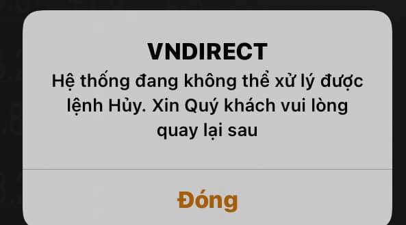 Bị “bịt mắt” đặt lệnh trên sàn chứng khoán, nhà đầu tư bức xúc, chuyên gia nói gì? - Ảnh 1.