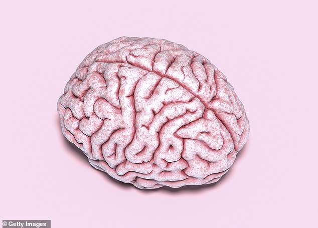 Não bộ và tinh hoàn có điểm chung gì? Một nghiên cứu mới tìm thấy sự tương đồng đáng ngạc nhiên giữa chúng - Ảnh 1.