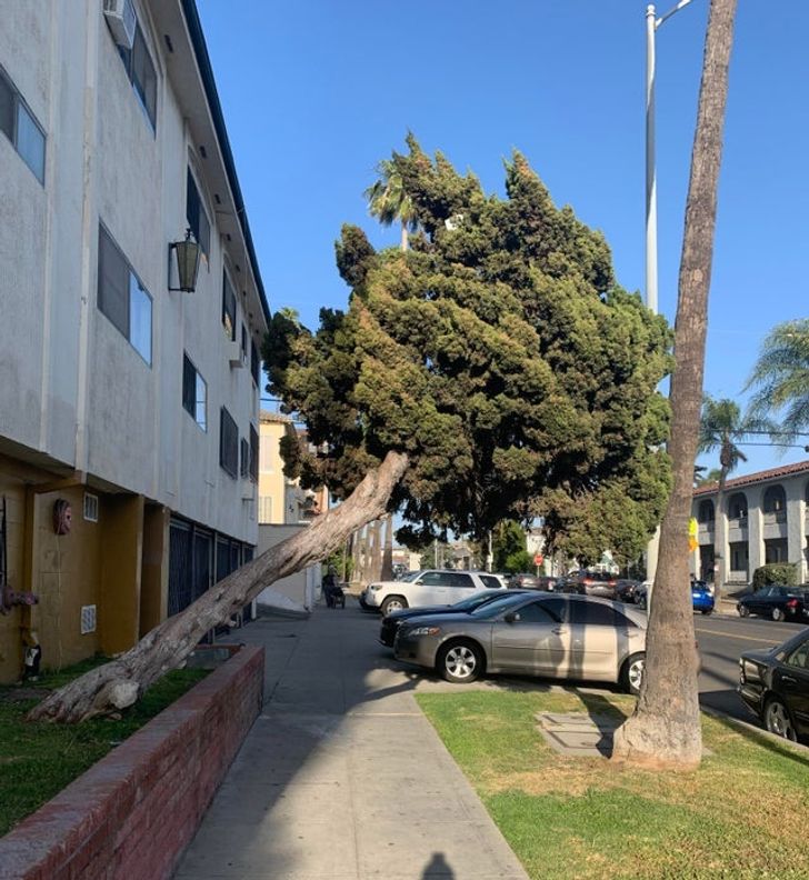 Kinh ngạc những bức ảnh thi&ecirc;n nhi&ecirc;n kỳ th&uacute; - Ảnh 7.