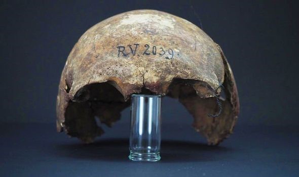 Phát hiện hộp sọ 5.000 năm tuổi của người đầu tiên từng nhiễm bệnh dịch hạch - Ảnh 1.