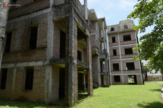 Cận cảnh các ngôi biệt thự ma ở Hà Nội bị bỏ hoang nhiều năm, rêu phong phủ kín các bức tường - Ảnh 4.
