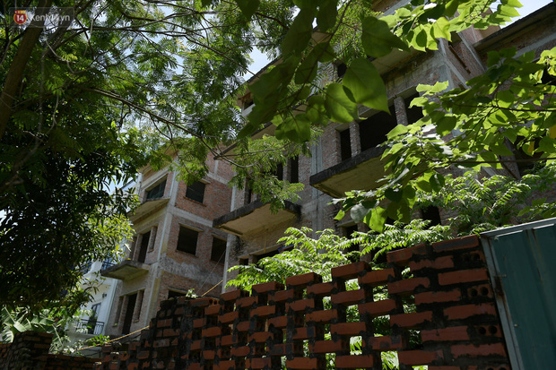 Cận cảnh các ngôi biệt thự ma ở Hà Nội bị bỏ hoang nhiều năm, rêu phong phủ kín các bức tường - Ảnh 5.