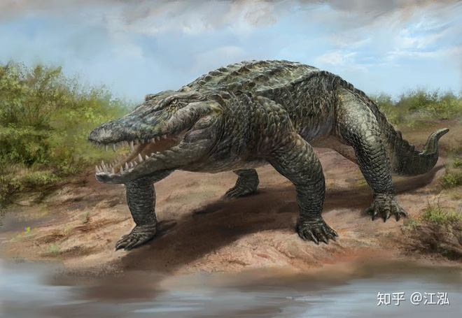 Phát hiện loài cá sấu cổ đại tại Australia có khả năng chạy nhanh trên cạn cách đây 40.000 năm - Ảnh 7.