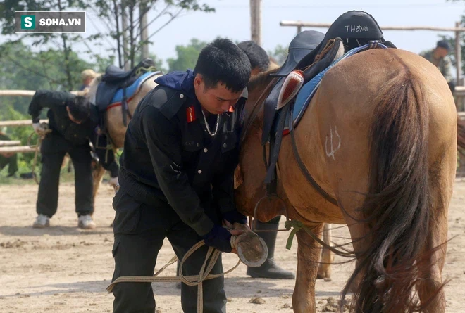 CSCĐ Kỵ binh: Sau hơn một năm huấn luyện, từ ngựa hoang đến những màn vượt rào, bổ nhào, phi nước đại bắn súng đỉnh cao - Ảnh 3.