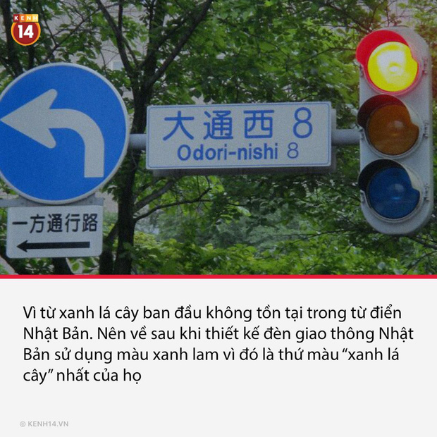 16 thói quen văn hóa nghe rất khó hiểu với chúng ta, nhưng ở nước ngoài thì lại quá phổ biến luôn - Ảnh 11.