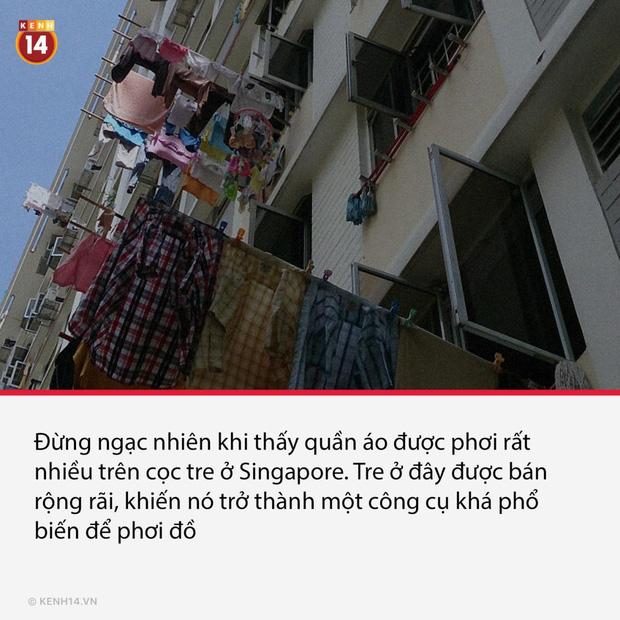 16 thói quen văn hóa nghe rất khó hiểu với chúng ta, nhưng ở nước ngoài thì lại quá phổ biến luôn - Ảnh 8.