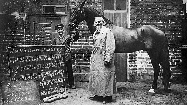 Đây là Hans - chú ngựa từng gây bão lịch sử nhân loại: Biết làm toán, nói được tiếng Đức và có một cái kết buồn - Ảnh 2.