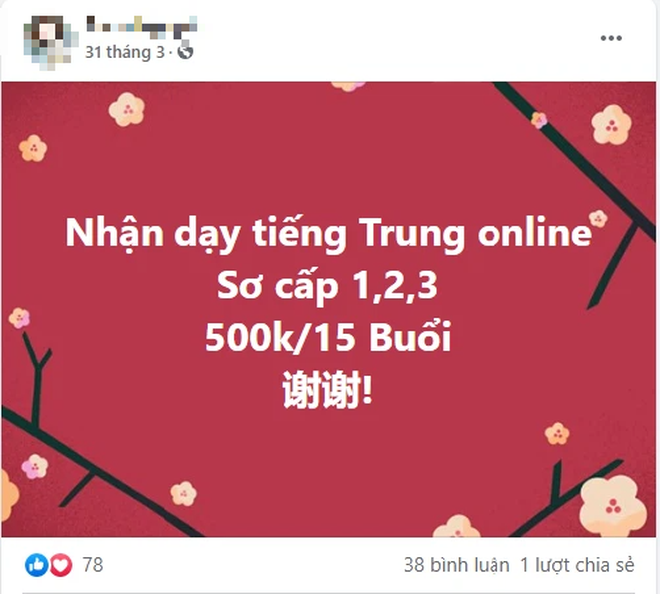 Tuyên bố nghỉ hưu sớm ở tuổi 27 với tài khoản tiết kiệm 100 triệu đồng, cô gái Hưng Yên vẫn nhận dạy tiếng Trung online? - Ảnh 2.