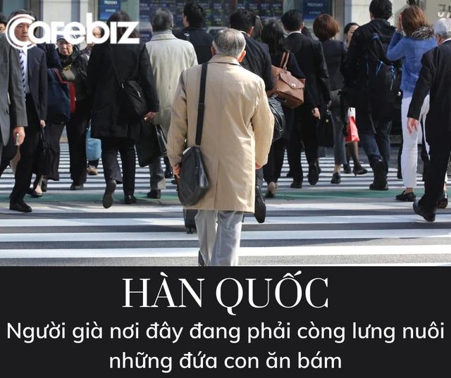 Nghỉ hưu non: Trào lưu sống hưởng thụ của giới trẻ hay dấu hiệu thế hệ ‘chuột túi’, chuyên ăn bám bố mẹ tuổi trung niên - Ảnh 3.