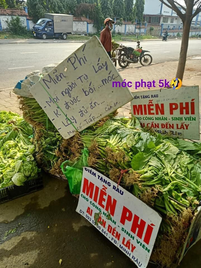 Bị bạn mắng vì không tranh thủ hốt bạc giữa mùa dịch, anh xăm trổ bán rau giá rẻ có màn đáp trả khiến ai cũng nể - Ảnh 3.