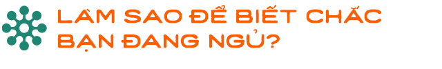 Gián có nằm ngửa khi ngủ không và hành trình đi tìm giấc ngủ nguyên sơ nhất lịch sử Trái Đất - Ảnh 2.