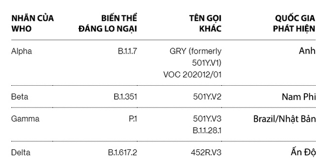 Từ Alpha đến Delta: các biến thể COVID-19 nguy hiểm ra sao? Vắc-xin có thể ngăn chặn được chúng ở mức độ nào? - Ảnh 2.