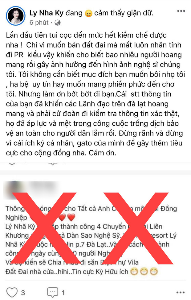 Bị chỉ trích khoe của, không quan tâm sức khoẻ người dân giữa dịch, Lý Nhã Kỳ gay gắt đáp trả 1:1 cả loạt - Ảnh 5.