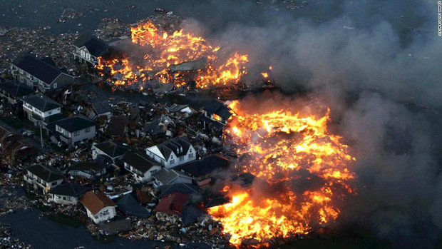 Đồng hoa hướng dương khổng lồ mọc lên ngay cạnh nhà máy Fukushima sau thảm họa hạt nhân chết chóc nhất lịch sử: Chuyện bí ẩn gì đây? - Ảnh 1.