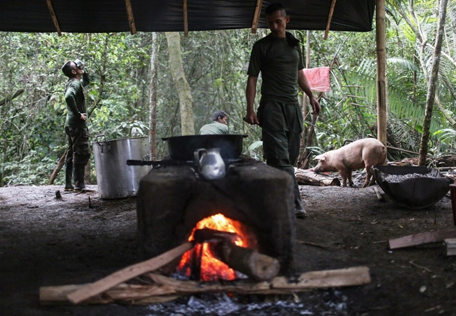 Tiết lộ về những kỹ năng sinh tồn của du kích FARC - Ảnh 1.